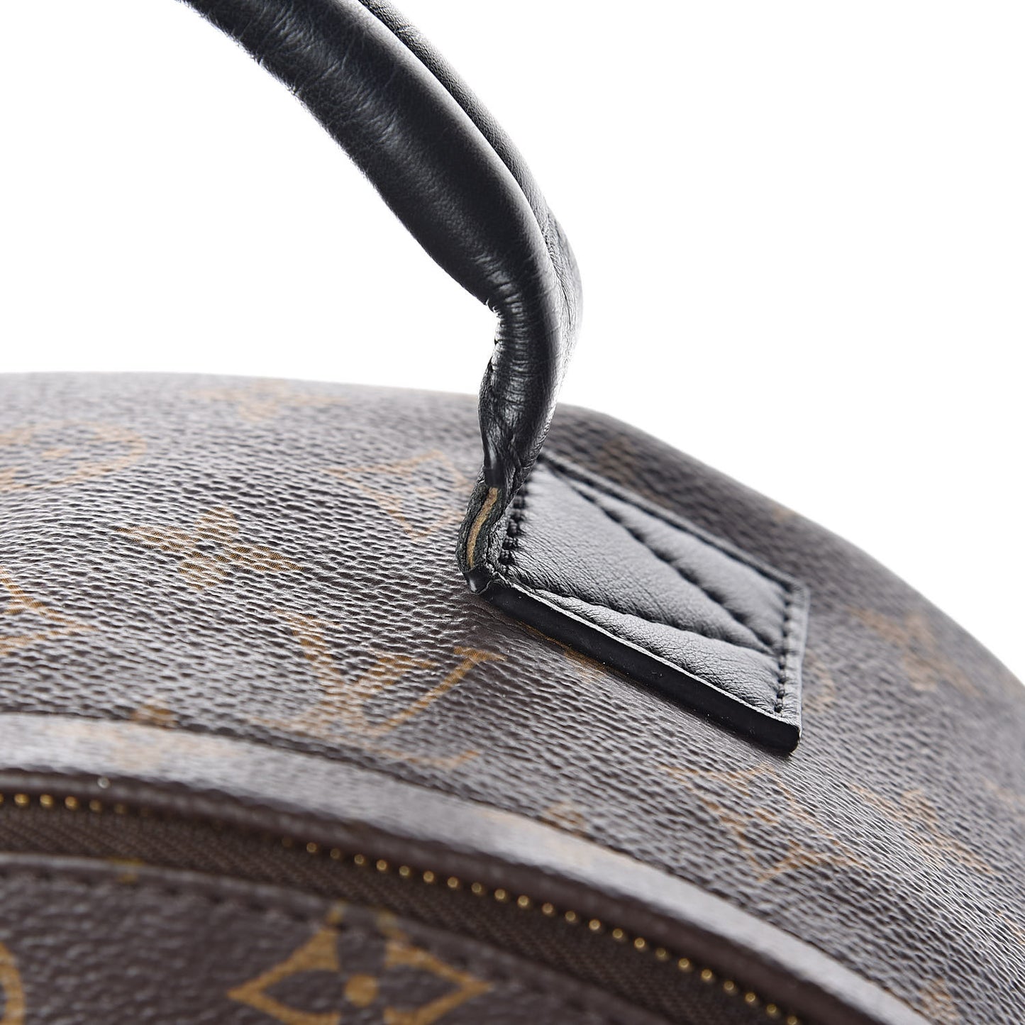 Monogram Palm Springs Backpack MM