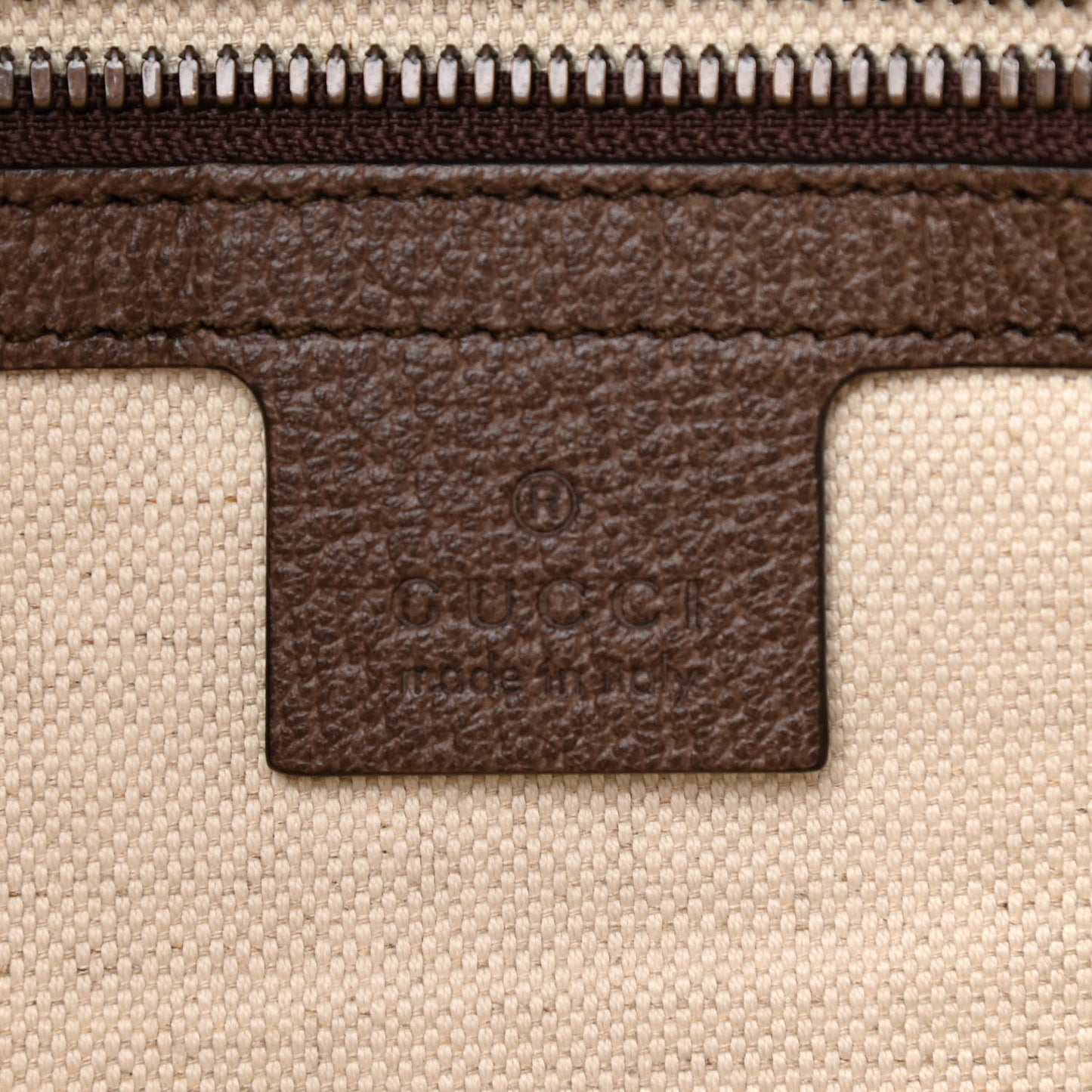 GG Supreme Monogram Web Ophidia Half Moon Hobo Brown