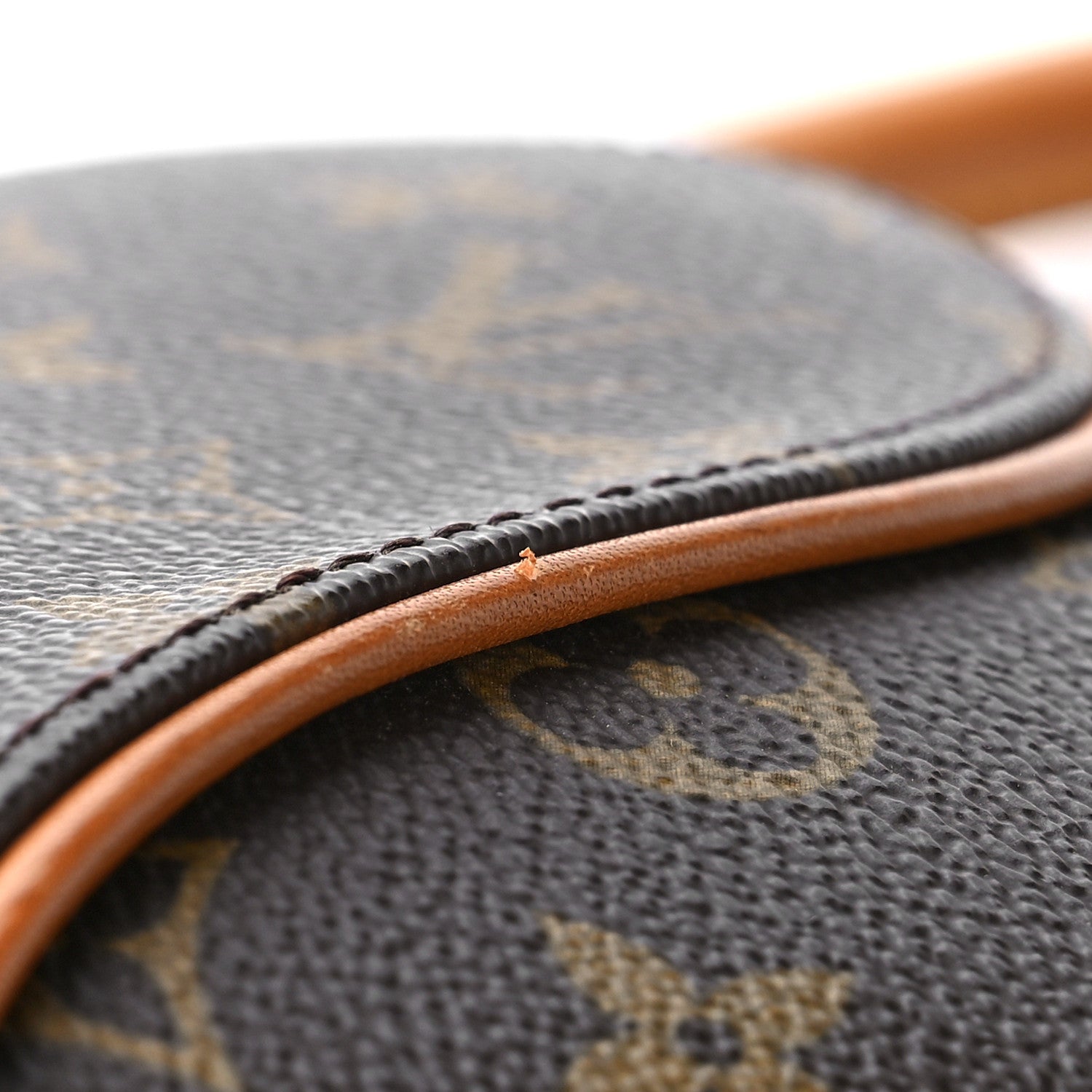 Louis Vuitton Monogram Ellipse PM 9 of 10