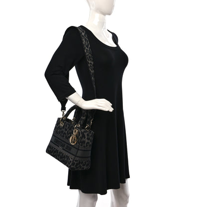 Christian Dior Canvas Mizza Embroidered Medium Lady D-Lite Gray 2 of 8