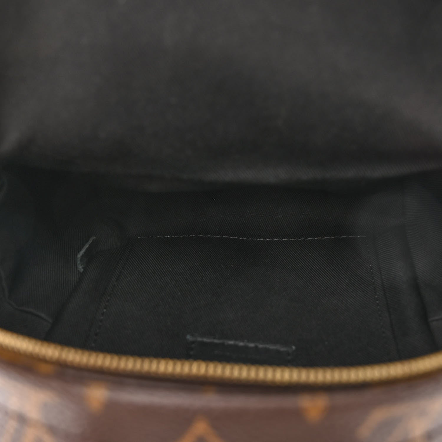 Louis Vuitton Monogram Palm Springs Backpack Mini 5 of 11