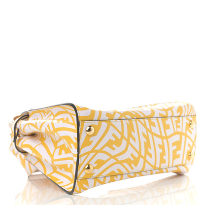 Fendi X SARAH COLEMAN Vitello Liberty Shiny Nappa Plexiglass FF Vertigo Mini Peekaboo Iconic Satchel Mimosa White 4 of 12
