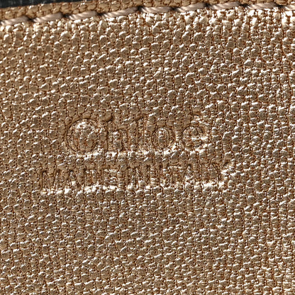 Chloe Metallic Grained Goatskin Nano Drew Shoulder Bag Abstract Gold 6 of 8
