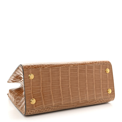 Louis Vuitton Alligator City Steamer MM Sienna Brown 4 of 15
