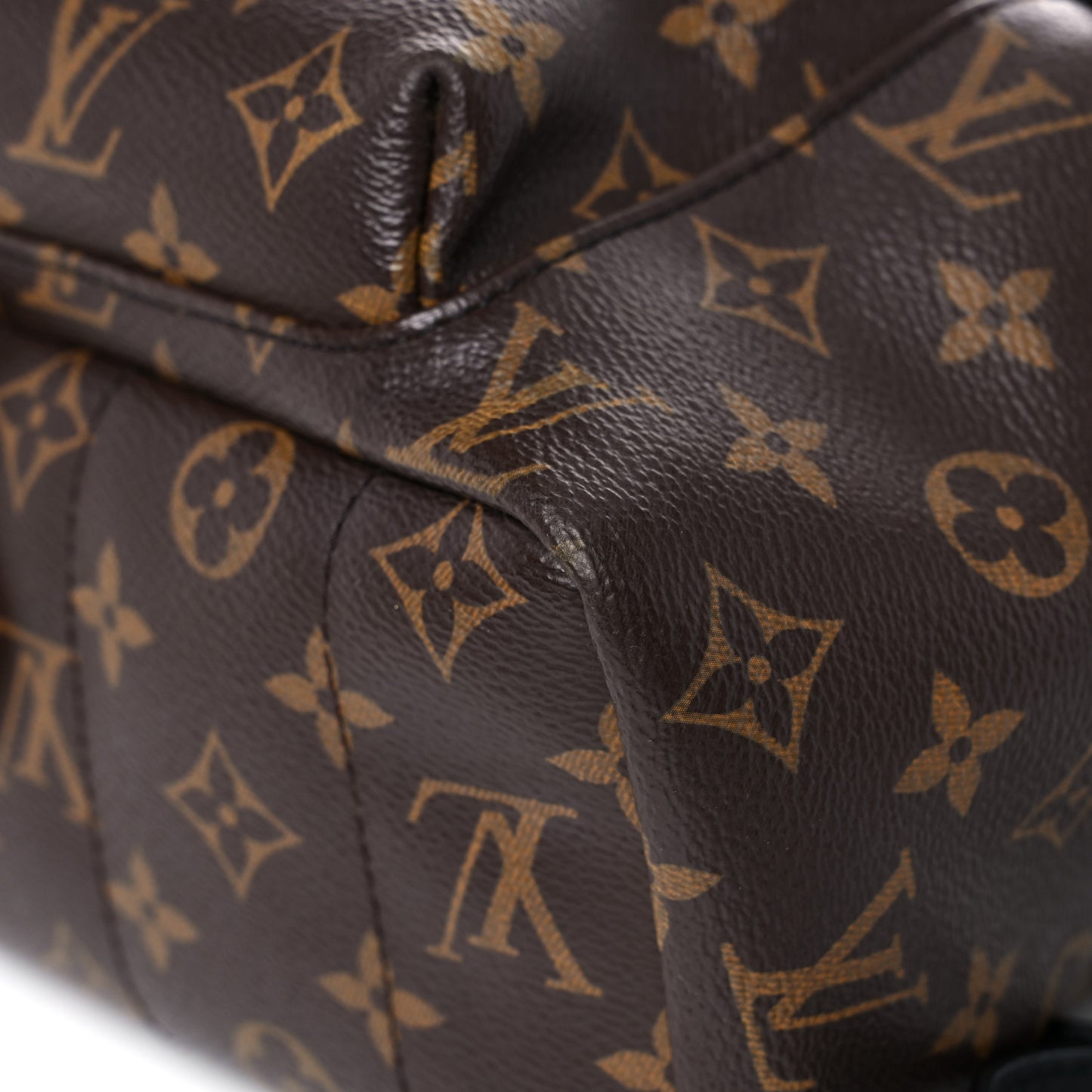 Monogram Palm Springs Backpack MM