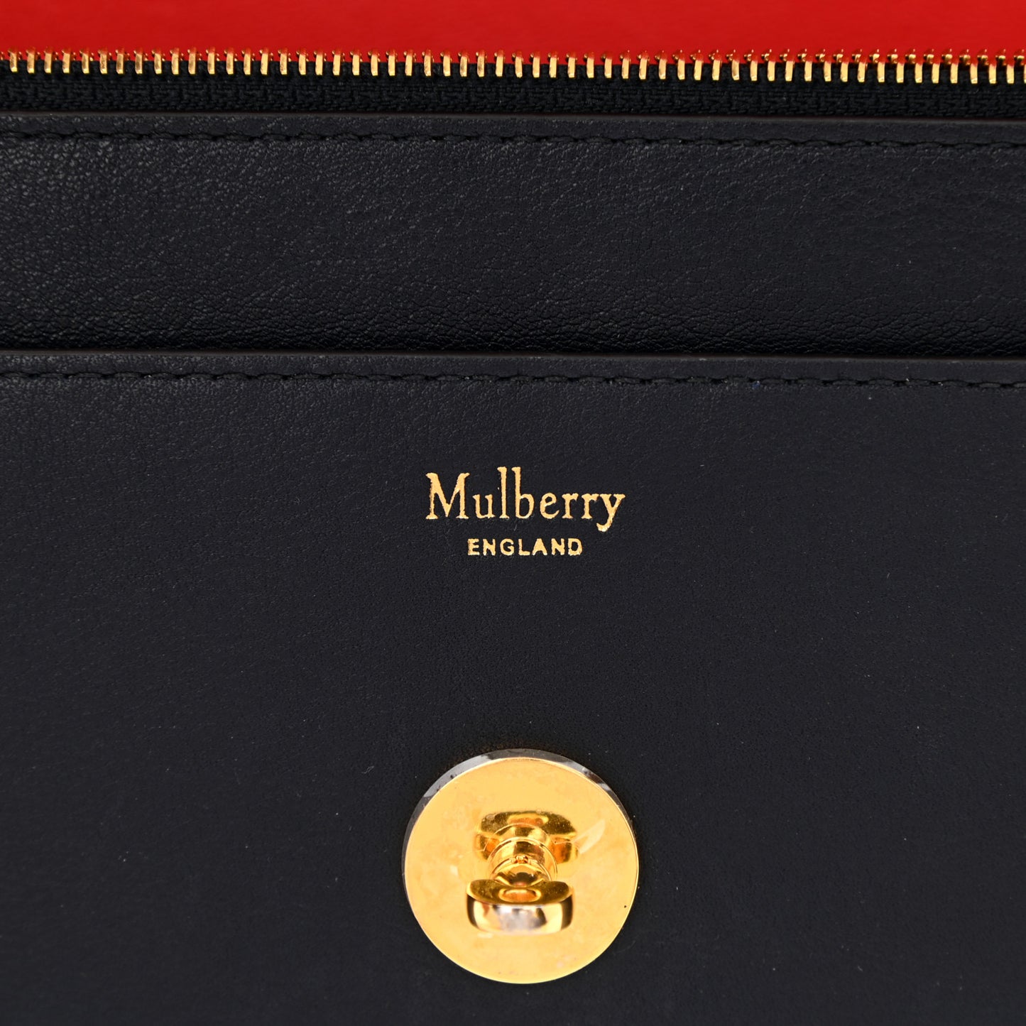 Embroidered Calfskin Small Darley Satchel Multicolor