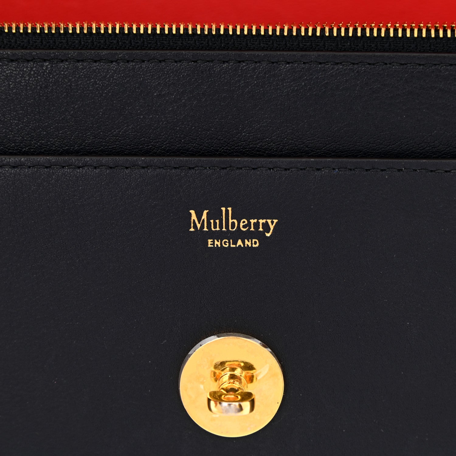 Mulberry Embroidered Calfskin Small Darley Satchel Multicolor 10 of 13