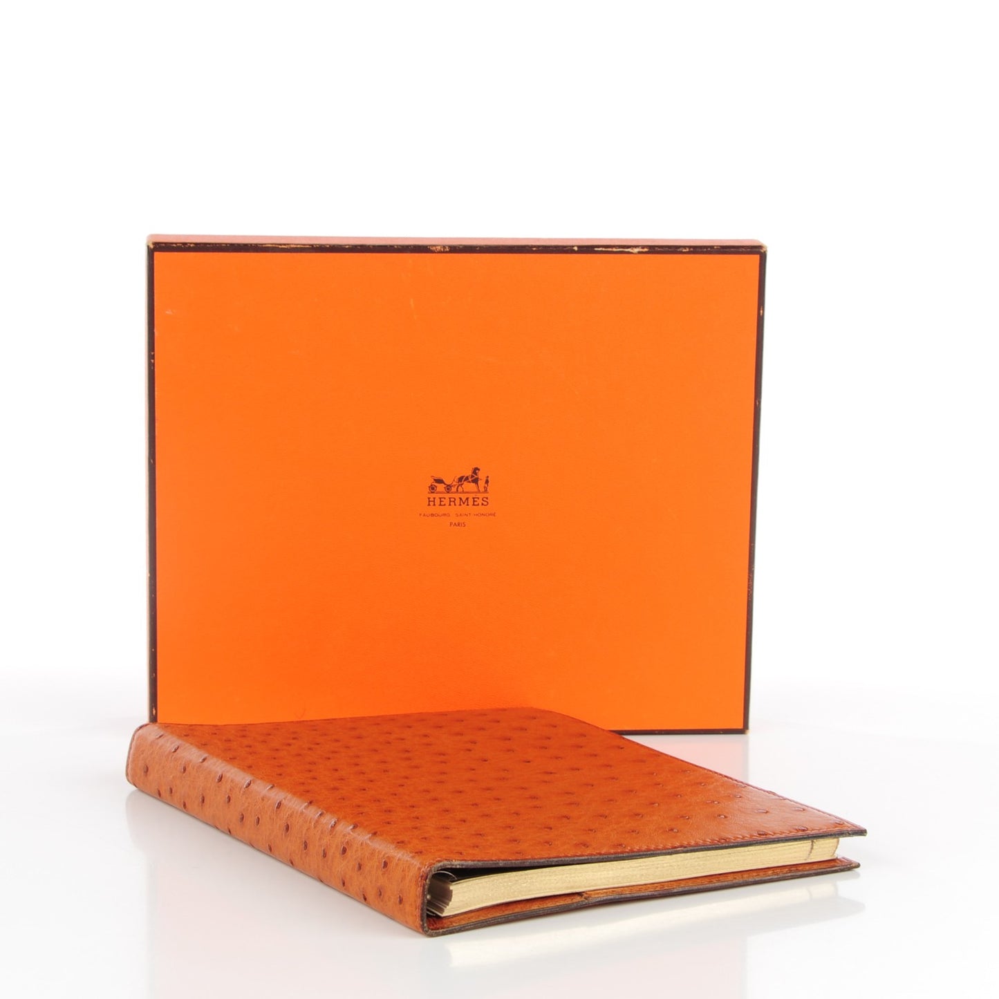 Ostrich Agenda Cover Gold