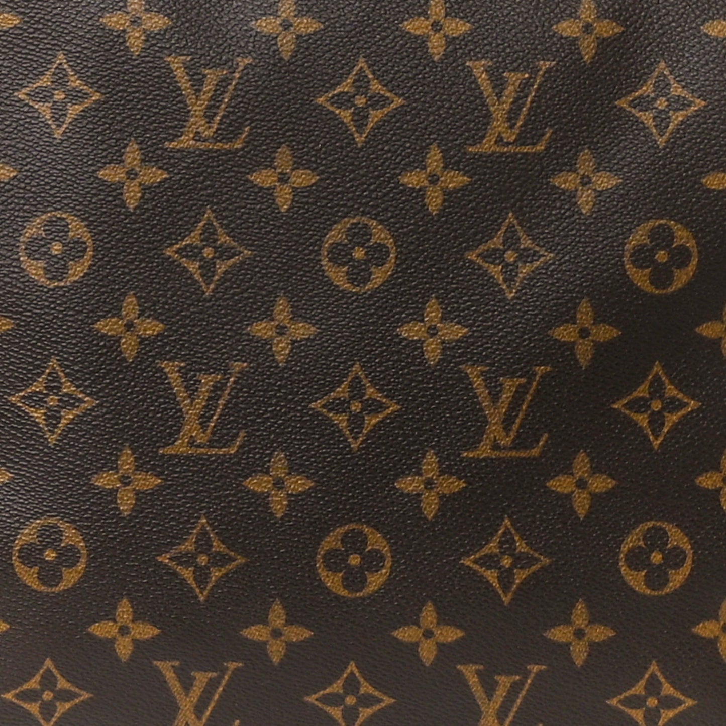 Monogram Cabas Mezzo