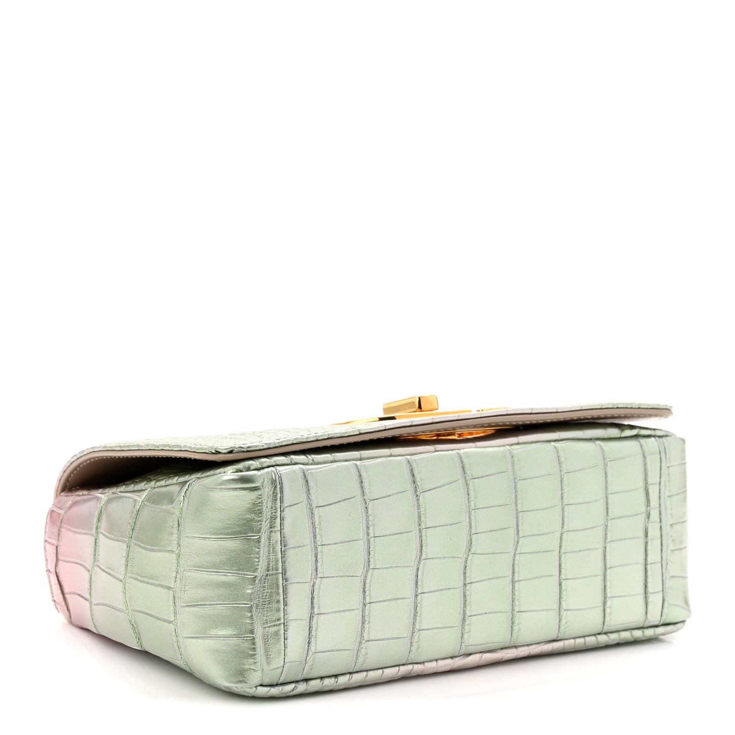Metallic Alligator Small Caro Bag Multicolor