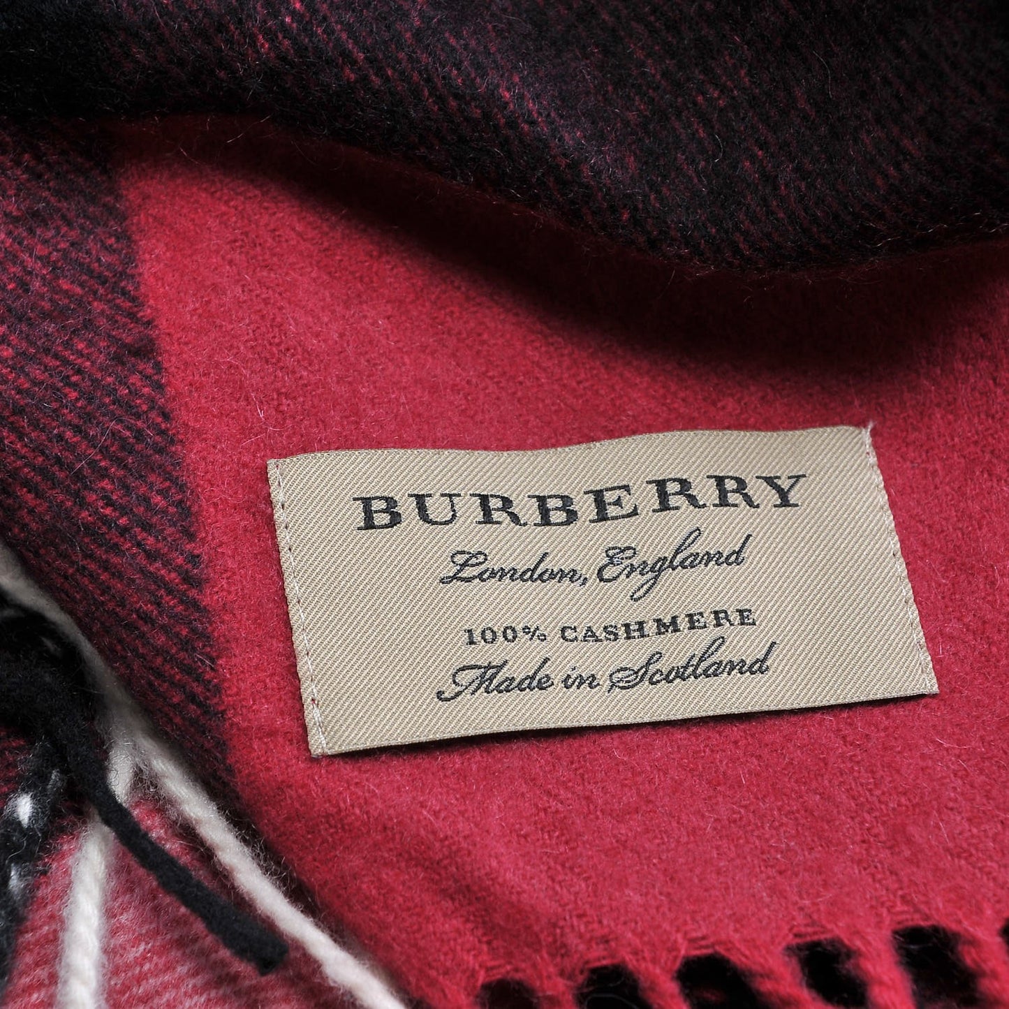 Cashmere Giant Check Fringe Scarf Plum