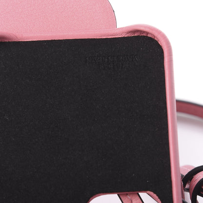 Loewe Calfskin Elephant Iphone X/XS Case Candy 7 of 11