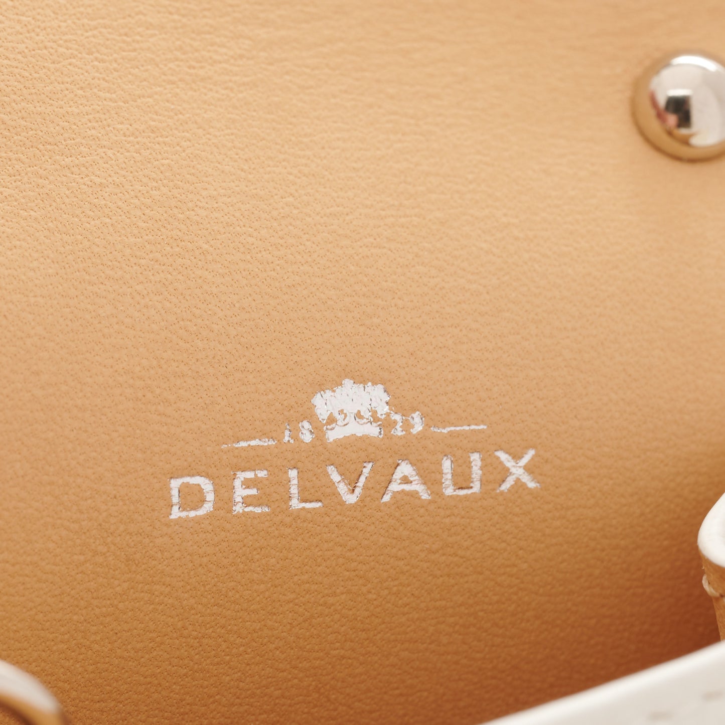 Calfskin Mini Brillant Bag Charm So White