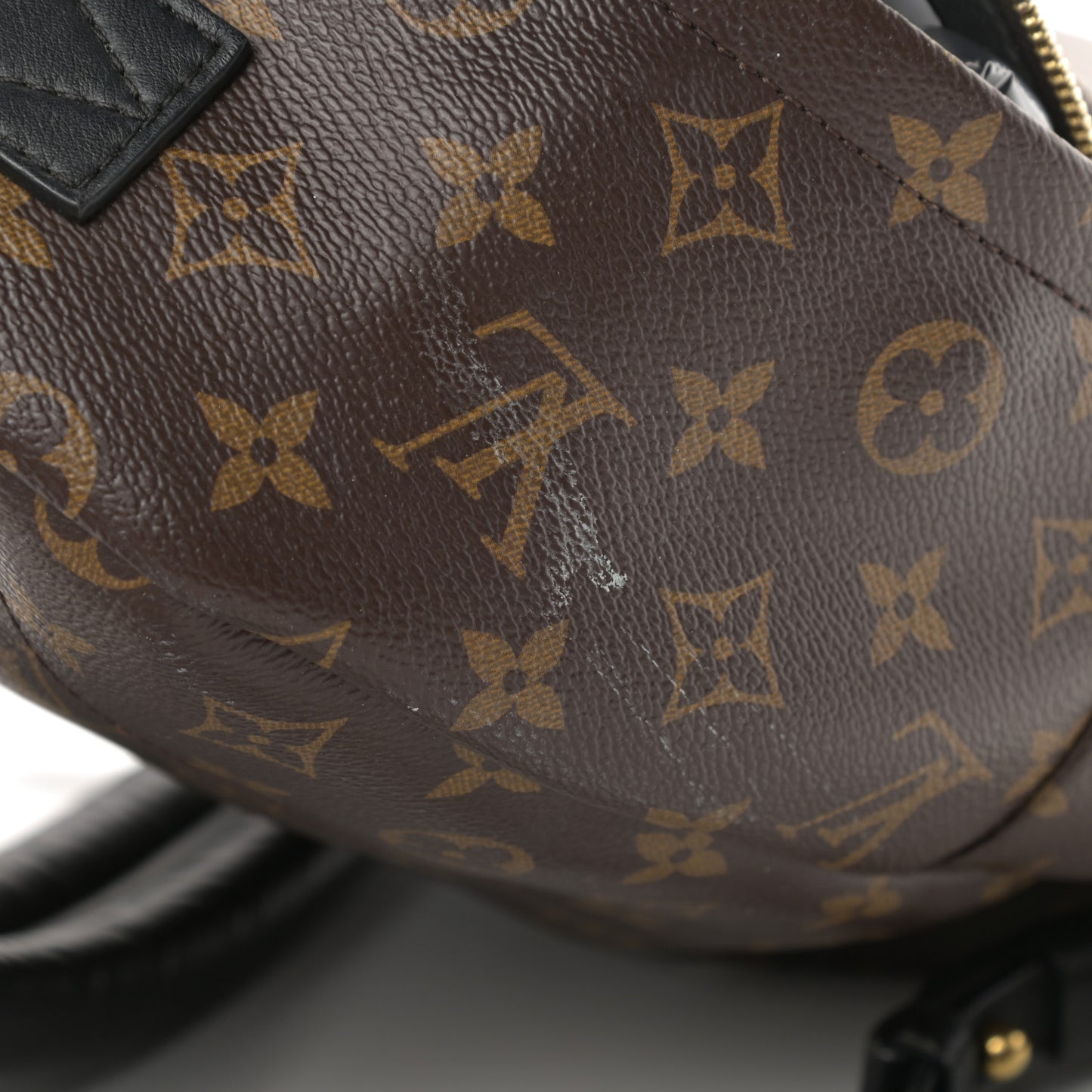 Monogram Palm Springs Backpack PM