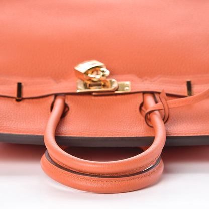 Hermes Togo Birkin 25 Feu 35 of 36