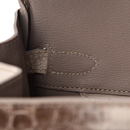 Hermes Matte Niloticus Crocodile Himalaya Birkin 30 Blanc 30 of 56