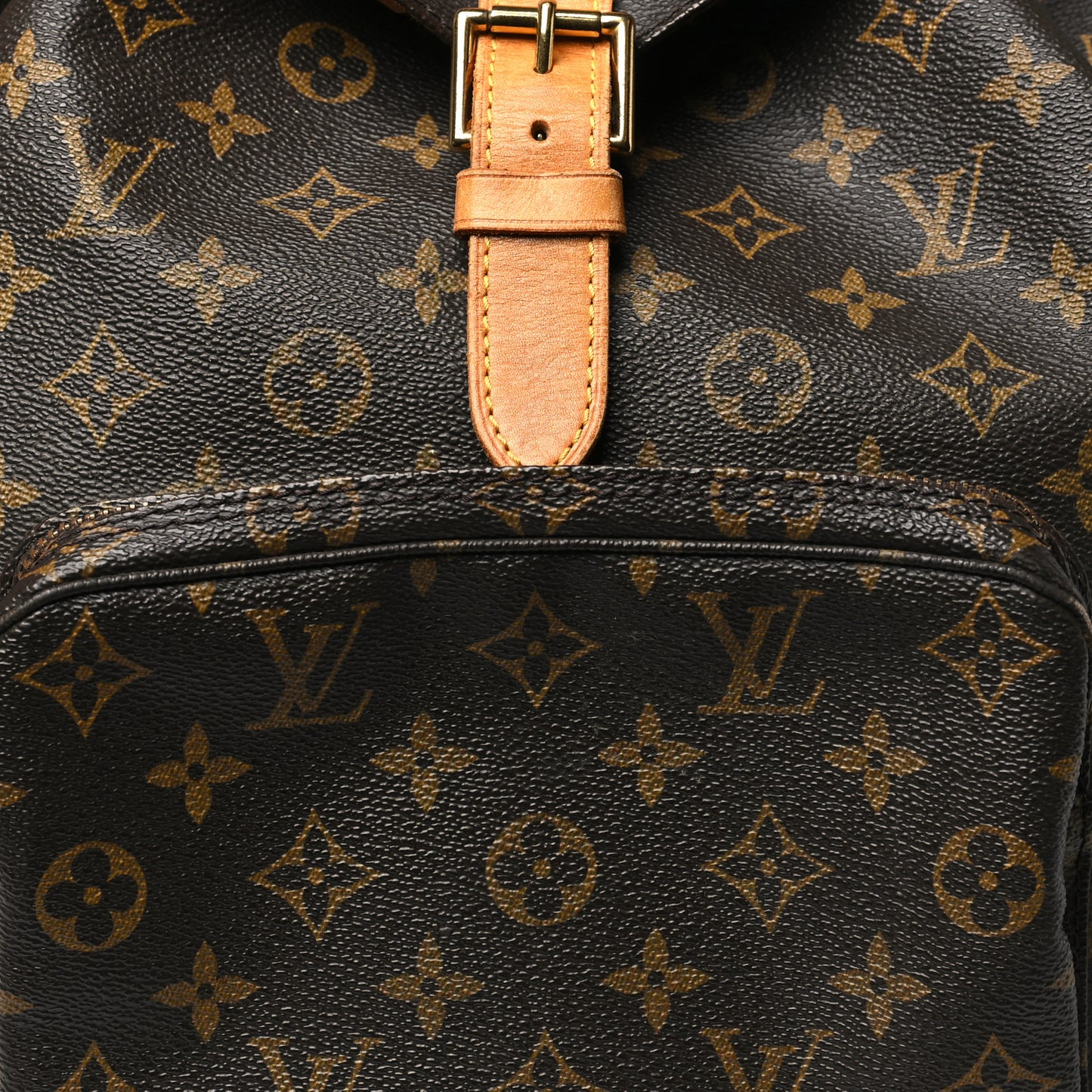 Monogram Montsouris GM Backpack
