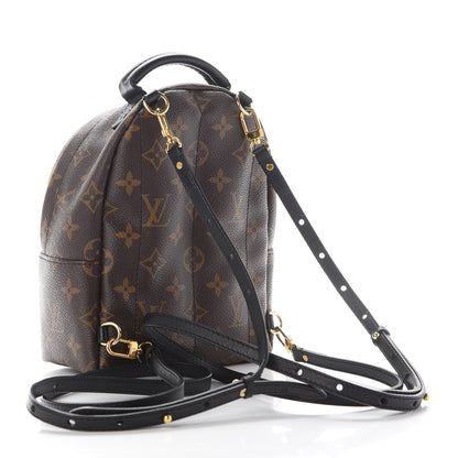 Louis Vuitton Monogram Palm Springs Backpack Mini 3 of 9