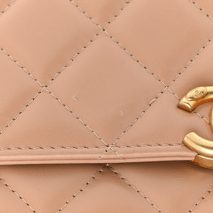 Chanel Calfskin Quilted Perfect Fit Wallet On Chain WOC Beige 12 of 13