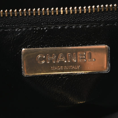 Chanel Shiny Lambskin Pony Hair Cheetah Printed Mini 31 Shopping Bag Light Beige Black 6 of 11