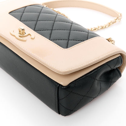 Chanel Sheepskin Quilted Small Vintage Mademoiselle Flap Beige Black 11 of 11