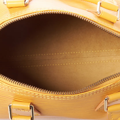 Louis Vuitton Epi Speedy 25 Tassil 4 of 9