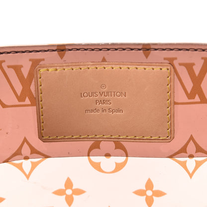 Louis Vuitton Vinyl Cabas Ambre PM 7 of 20