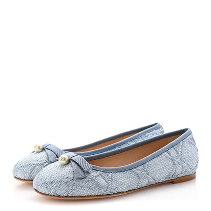 Christian Dior Raffia Cannage Ballet Flat 36 Bleu Pastel 4 of 10