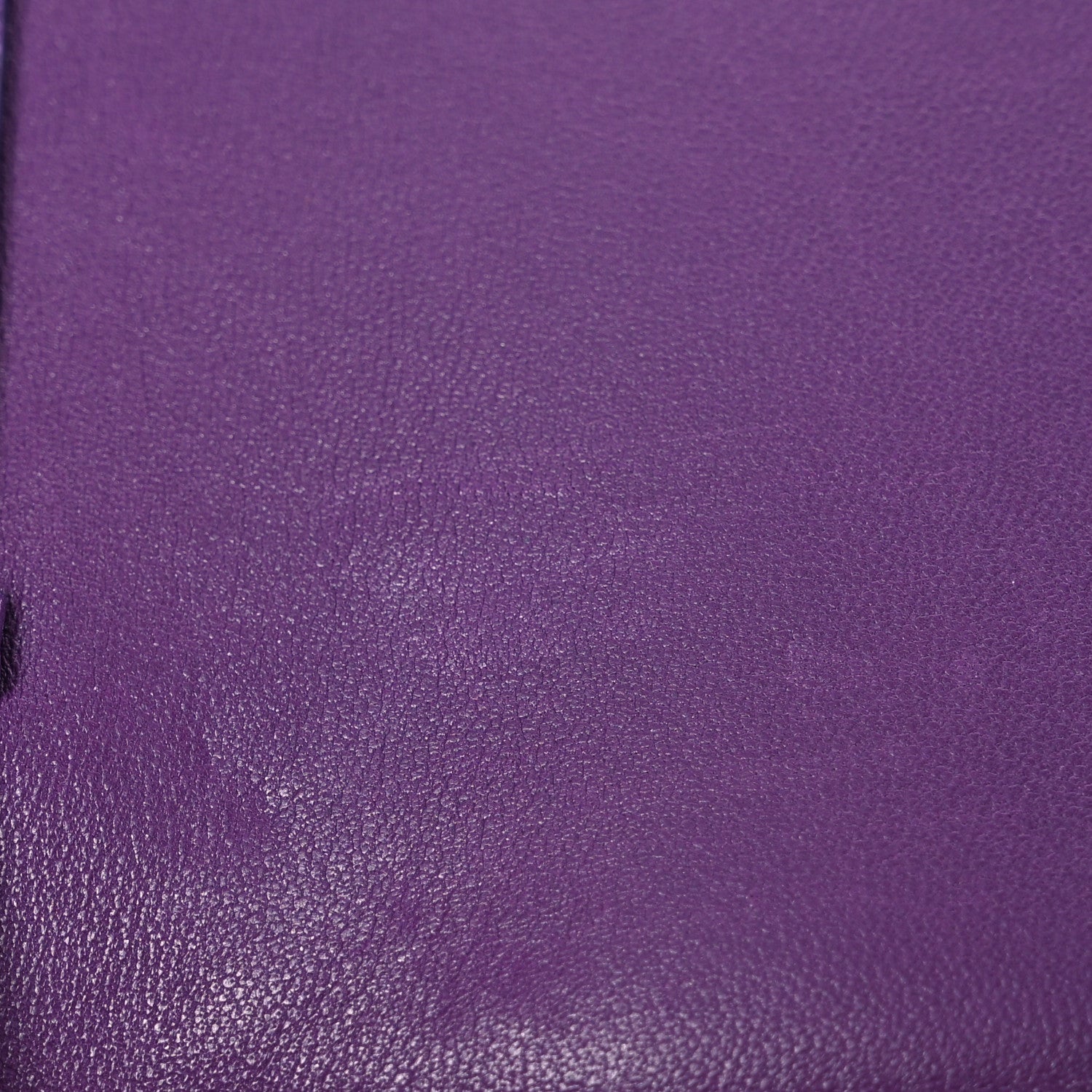 Loro Piana Lizard Crocodile Sesia Clutch Green Black Purple 12 of 16