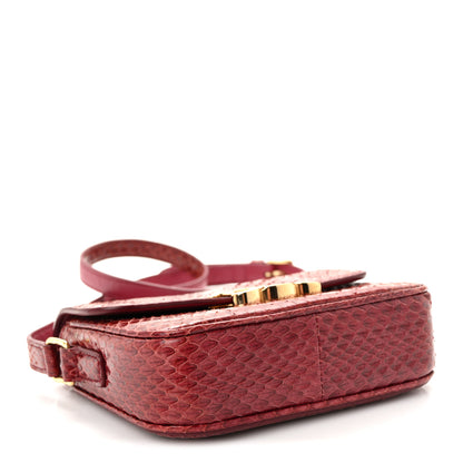 Celine Watersnake Teen Triomphe Ruby 4 of 11