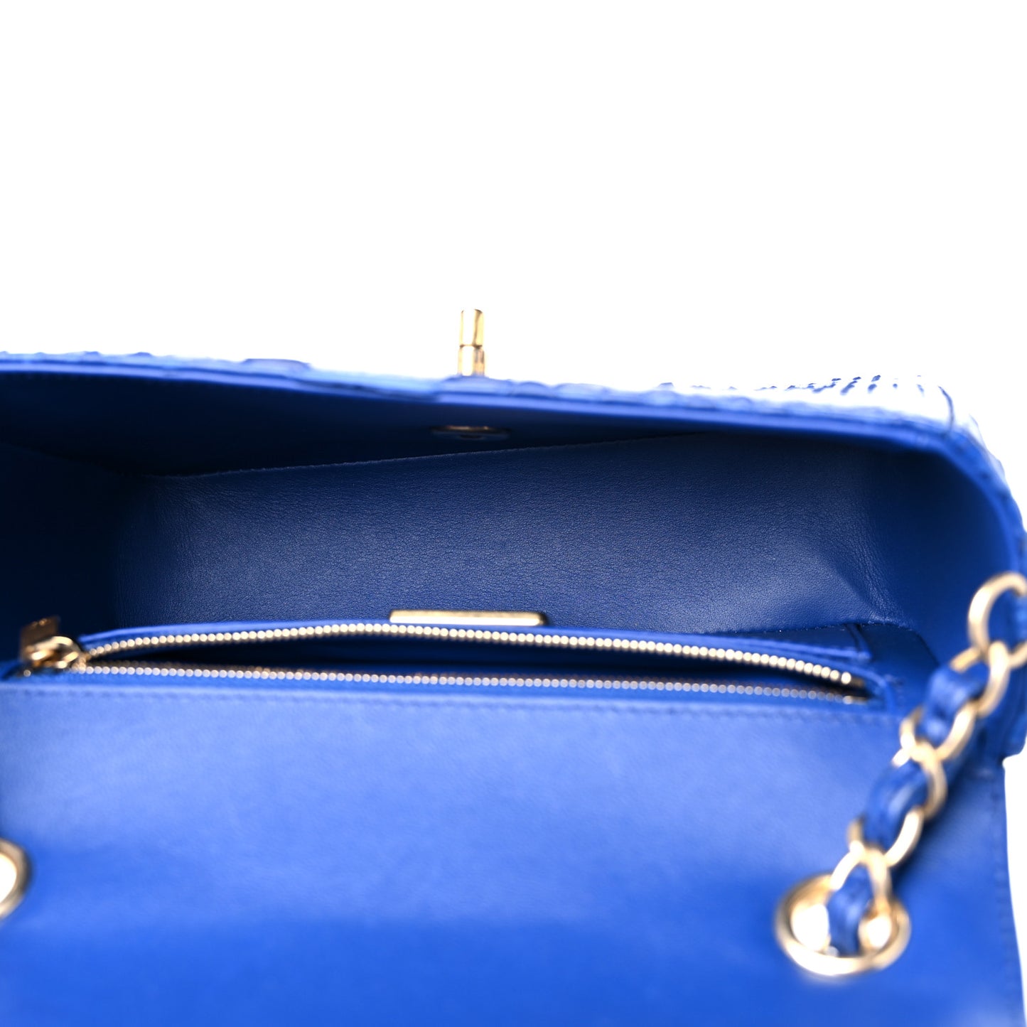 Snakeskin Mini Rectangular Flap Blue