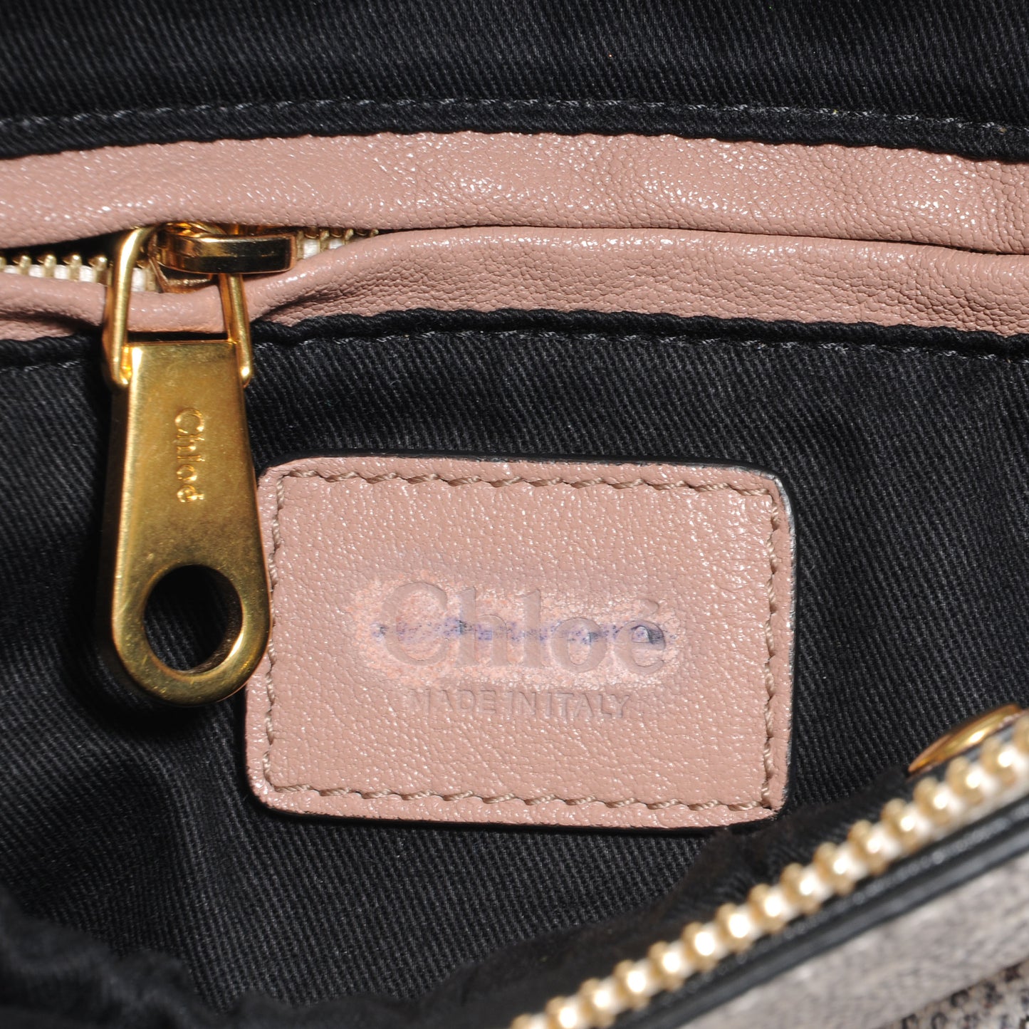 Lizard Embossed Medium Marcie Satchel
