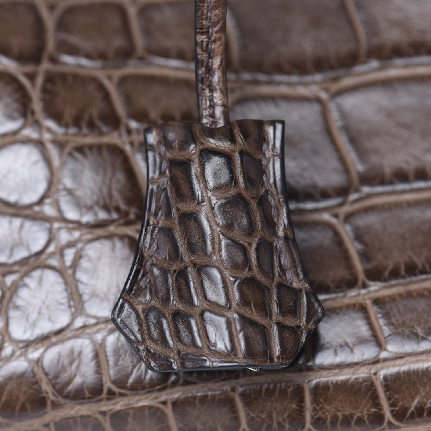 Hermes Matte Alligator Birkin 40 Chocolate 33 of 35