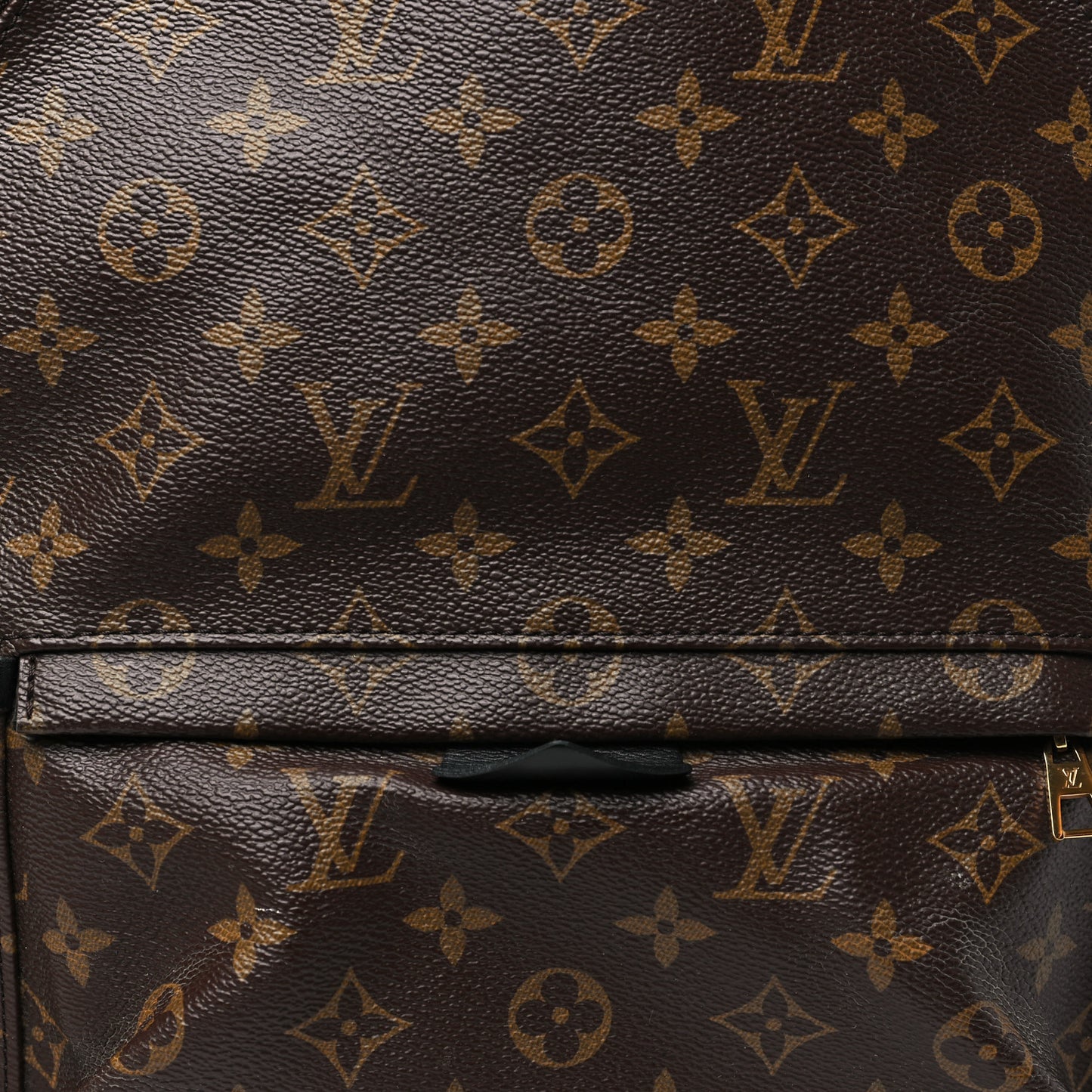 Monogram Palm Springs Backpack MM