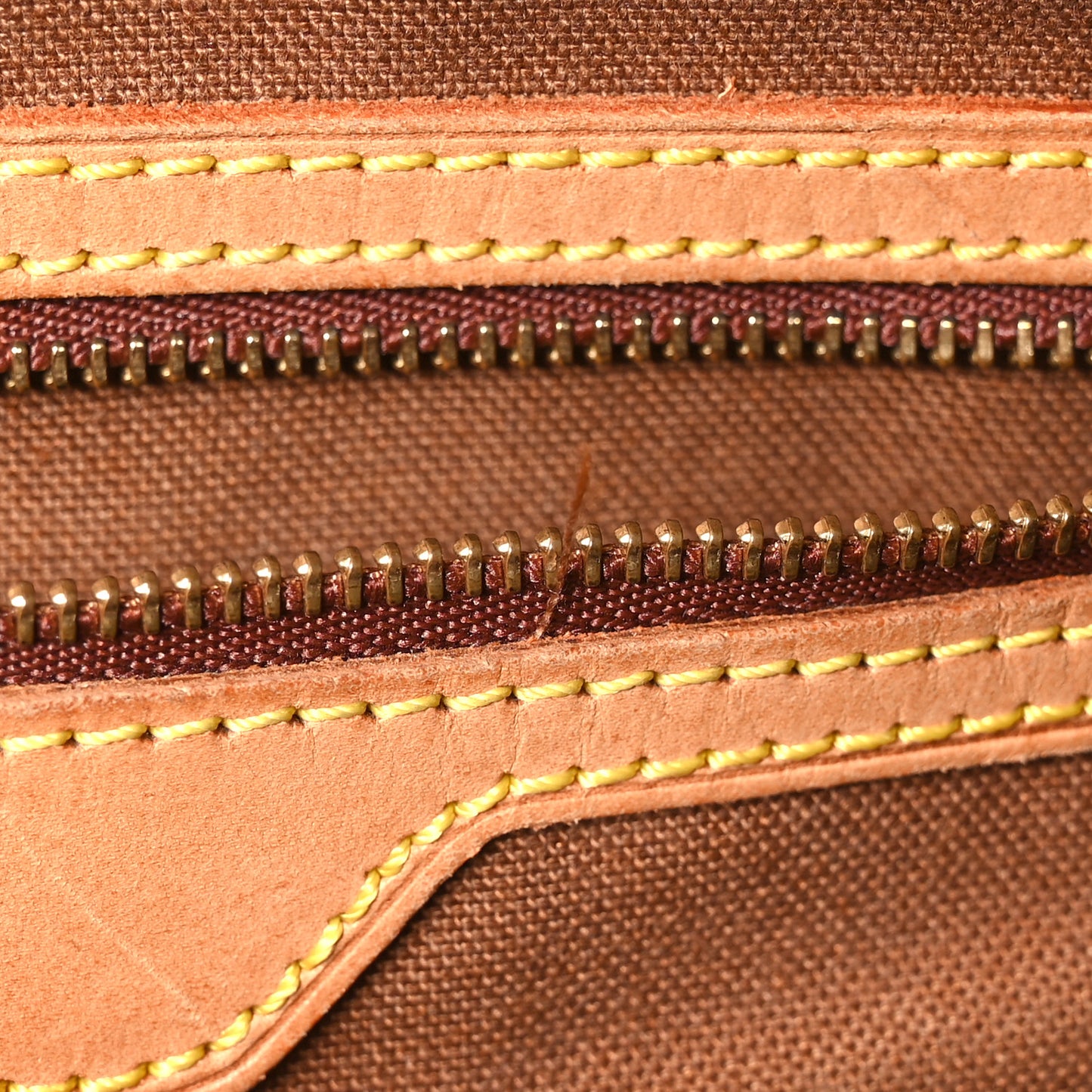 Monogram Cabas Mezzo