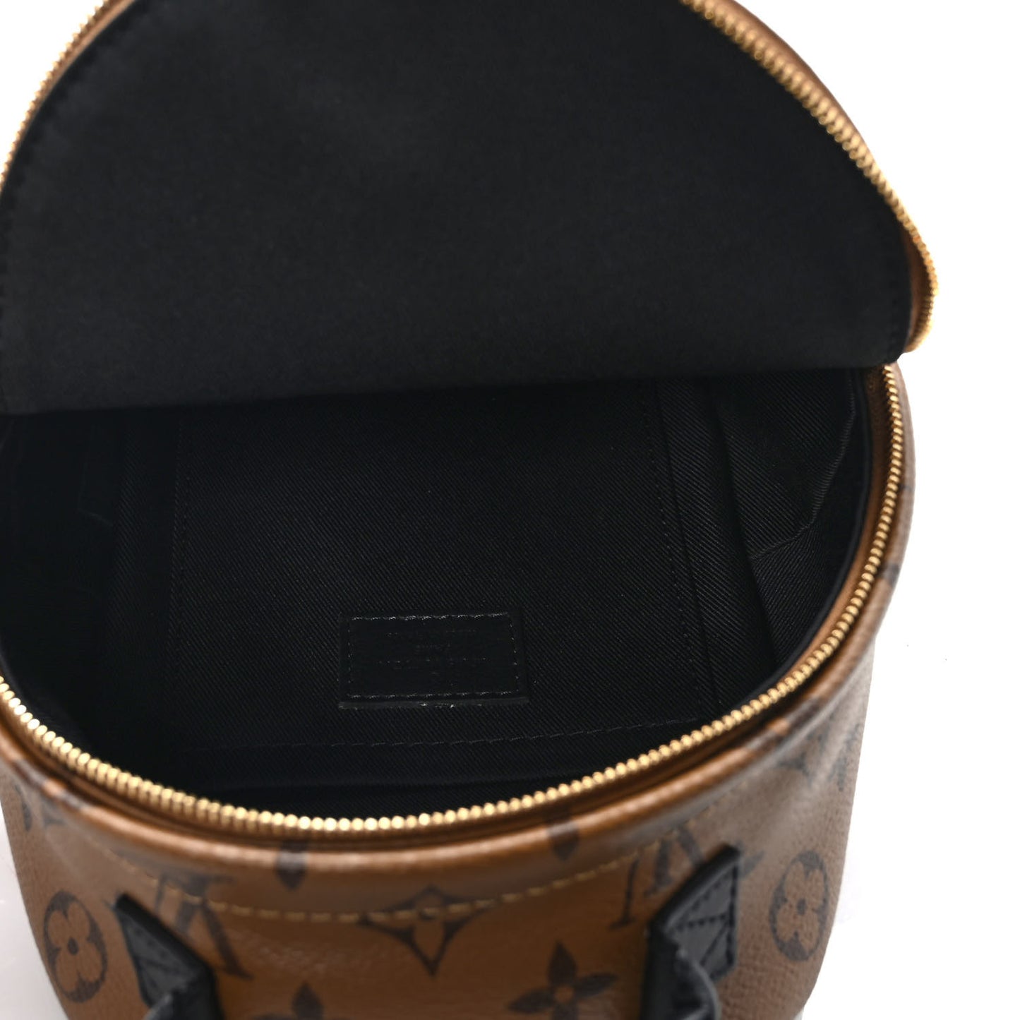 Reverse Monogram Palm Springs Backpack Mini
