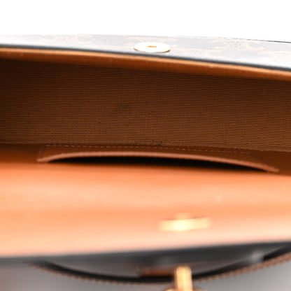 Celine Triomphe Canvas Calfskin Tabou Clutch on Strap Tan 5 of 9