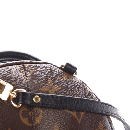 Louis Vuitton Monogram Palm Springs Backpack Mini 13 of 14