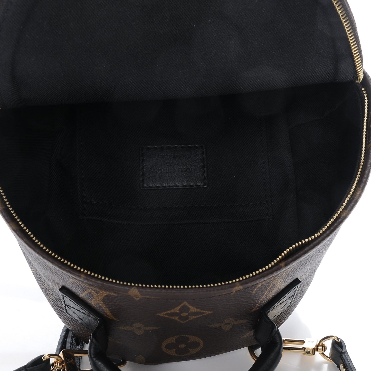Monogram Palm Springs Backpack Mini