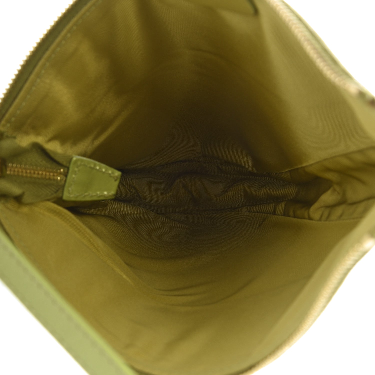 Christian Dior Lizard Mini Saddle Pochette Green 5 of 10