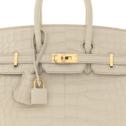 Hermes Matte Alligator Birkin 25 Beton 8 of 12