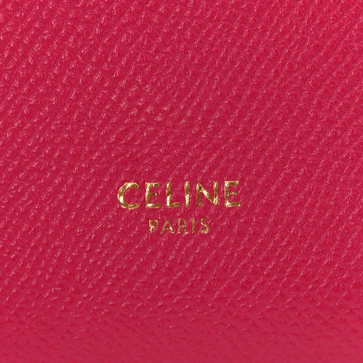 Grained Calfskin Nano Belt Bag Raspberry