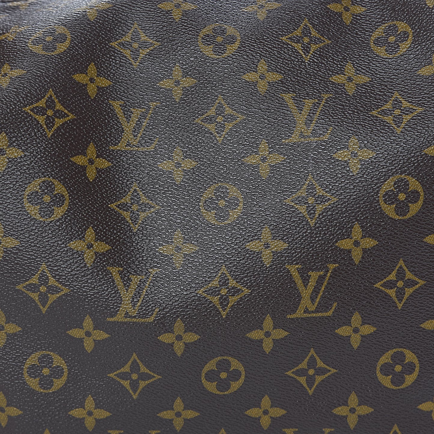 Monogram Sully MM