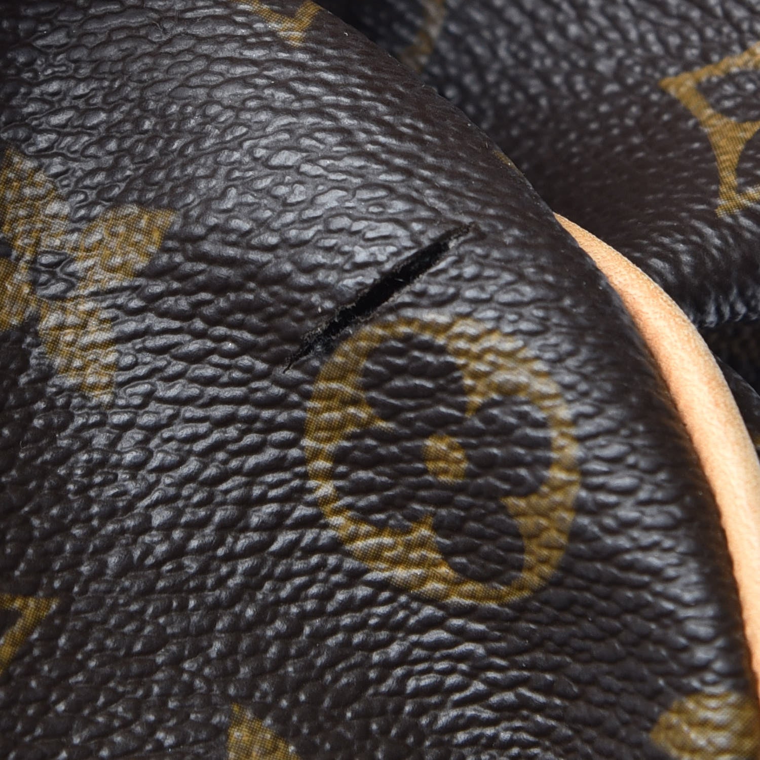 Louis Vuitton Monogram Galliera GM 4 of 19