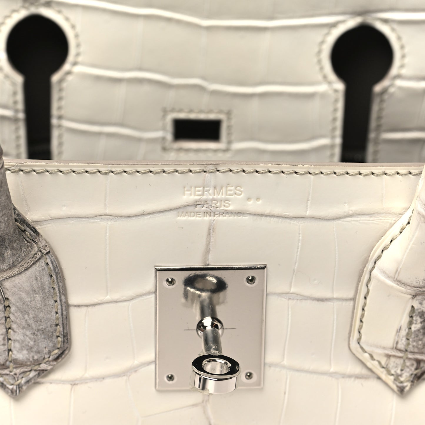 Matte Niloticus Crocodile Himalaya Birkin 30 Blanc