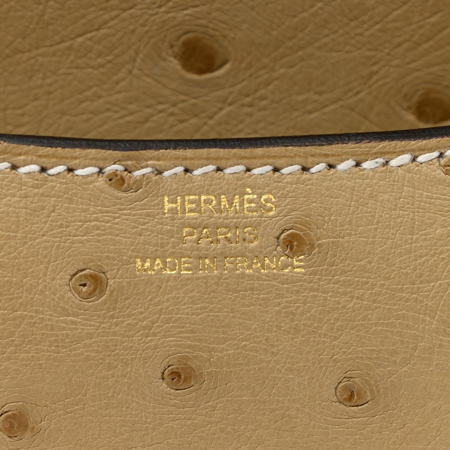 Ostrich Constance 18 Trench