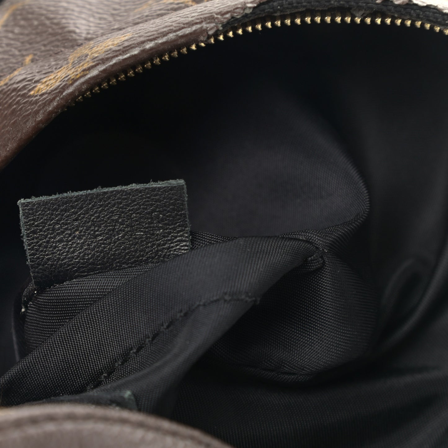 Monogram Palm Springs Backpack Mini