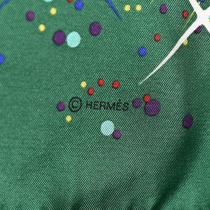 Hermes Silk Magic Kelly Scarf 140 4 of 7