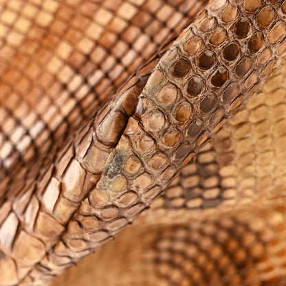 Gucci Snakeskin Large Horsebit Chain Hobo Gold 11 of 11