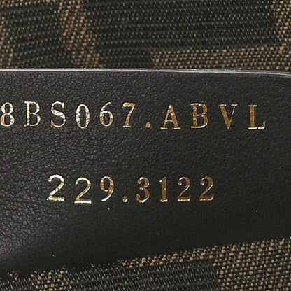 Fendi Vitello King Plexiglass Logo Embossed Mini By The Way Top Handle Boston Bag Tortora 7 of 9